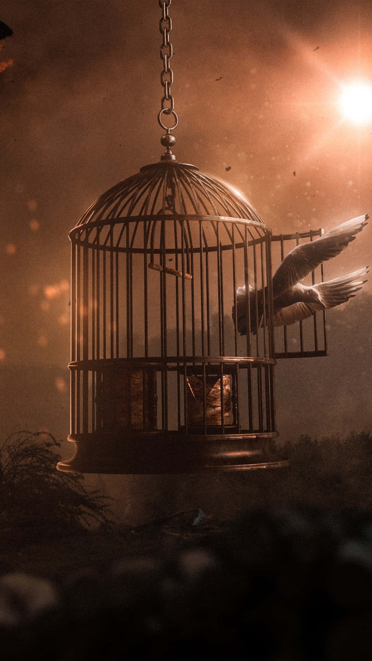Freedom 桌布 壁紙 — 一隻鳥從懸掛的籠子中衝出，映襯著發光的橙色天空，漂浮的餘燼和下方的黑暗剪影。