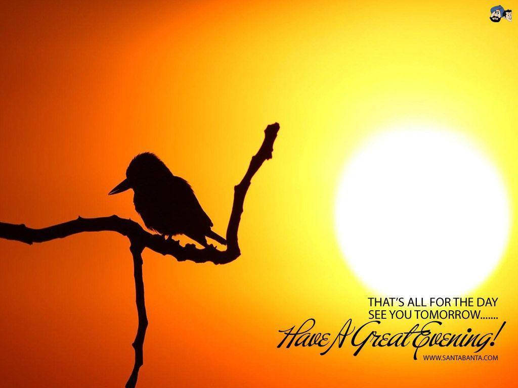 Evening 桌布 壁紙 — 一隻鳥棲息在樹枝上的剪影，背景是充滿活力的橙色和黃色日落天空，並帶有勵志文字。