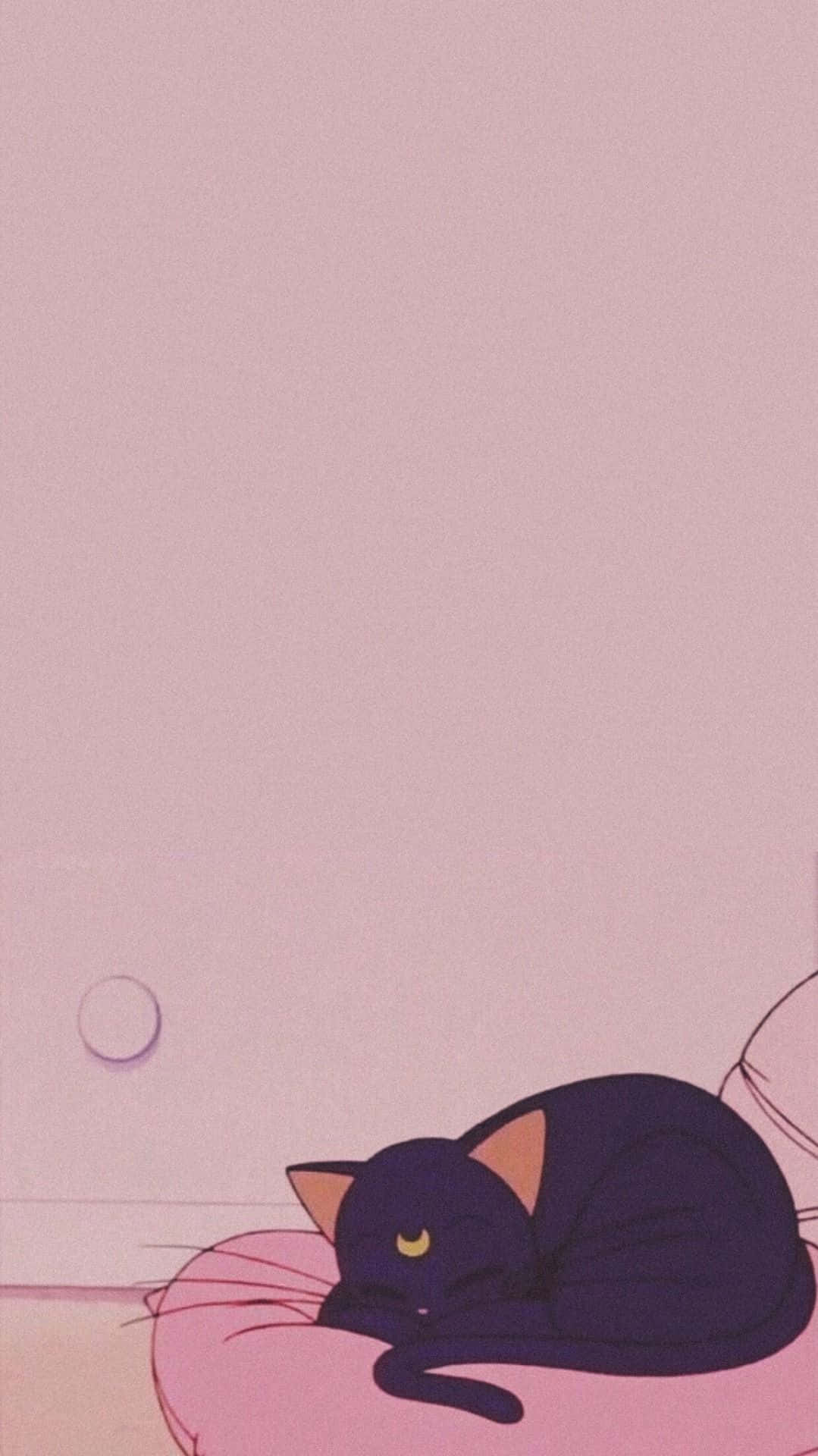 Luna Sailor Moon 桌布 壁紙 — 一隻黃眼睛的黑貓在柔和的粉紅色背景上，安詳地躺在粉紅色墊子上休息。
