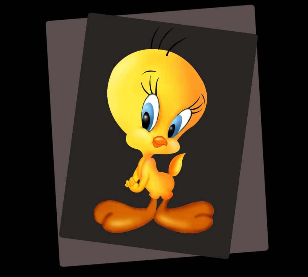 Tweety Bird 桌布 壁紙 — 一隻黃色卡通鳥，有大藍眼睛和橙色腳，站在黑色背景的深灰色卡片上。