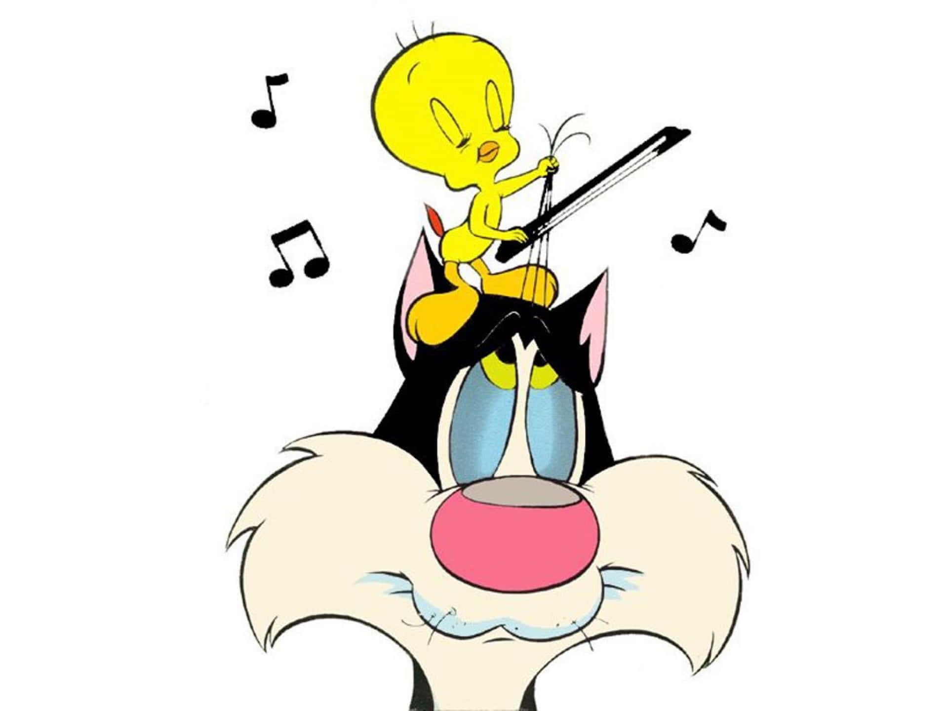Cartoon Music 桌布 壁紙 — 一隻黃色卡通鳥在一隻受驚的黑貓頭上拉小提琴，周圍有音符漂浮。