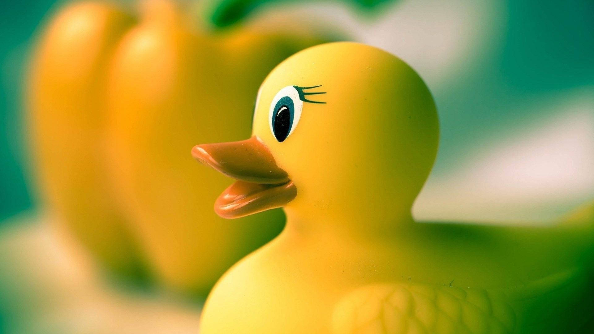 Baby Duck 桌布 壁紙 — 一隻黃色橡膠鴨的特寫，有一條眼睫毛和橙色喙，背景是柔和的綠色模糊效果。