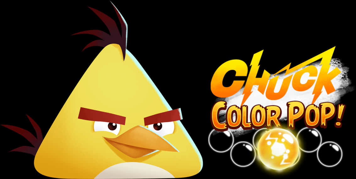 Angry Birds 桌布 壁紙 — 一隻黃色的Angry Birds角色，有紅色眉毛和黑色簇狀羽毛，在'Chuck Color Pop!'標誌旁邊怒視。