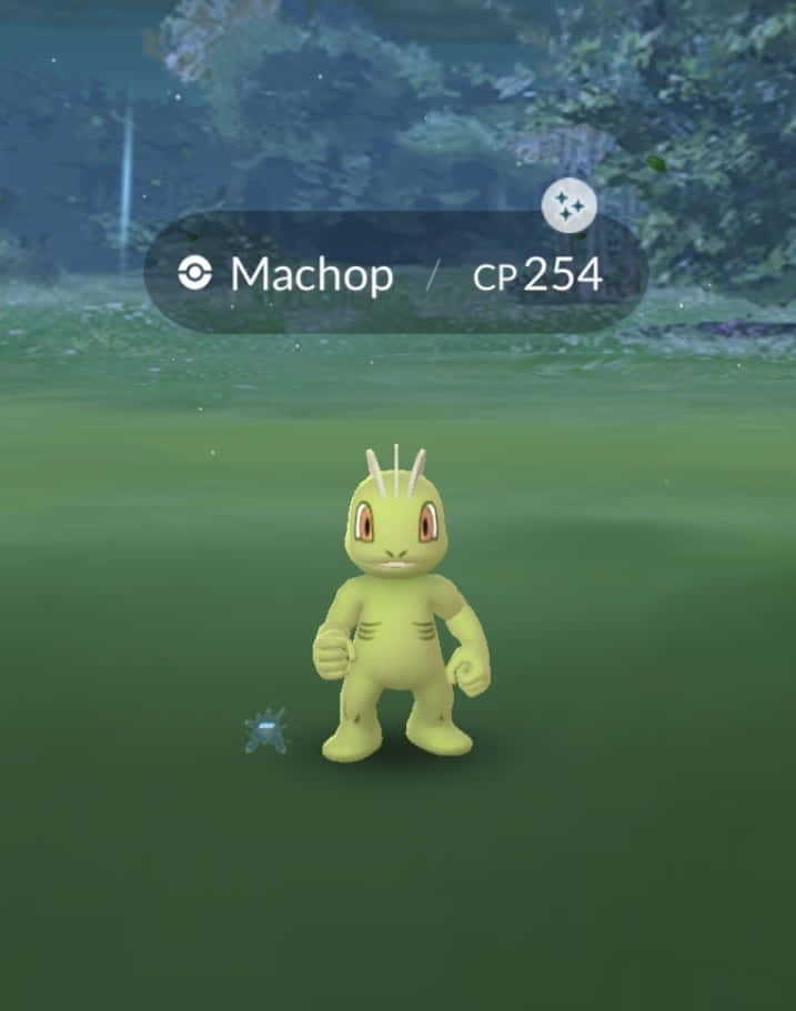 任天堂 桌布 壁紙 — 一隻黃色的Machop站在草地上，背景有樹木，天空昏暗。