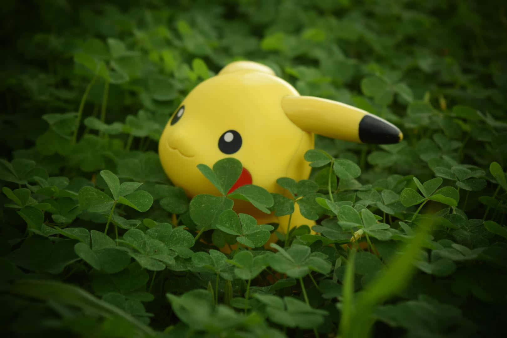 Pokemon Figures 桌布 壁紙 — 一隻黃色皮卡丘絨毛玩偶在茂密的鮮綠色三葉草葉叢中探出頭來。