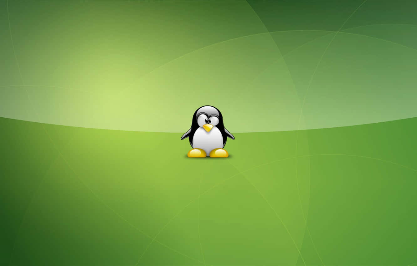 Penguin Tux 桌布 壁紙 — 一隻黃色腳的卡通企鵝站在帶有微妙曲線的綠色漸變背景中央。