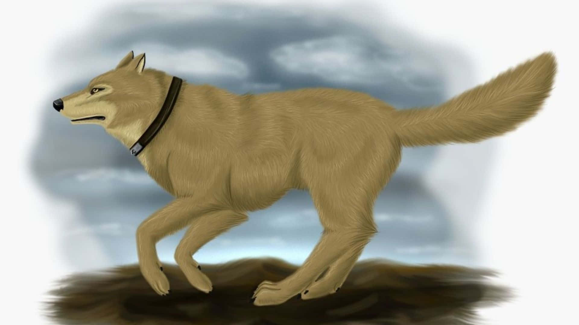 Wolf's Rain Hige 桌布 壁紙 — 一隻黃褐色狼戴著黑色項圈，在陰雲密佈的天空背景下，於黑暗土丘上前行。