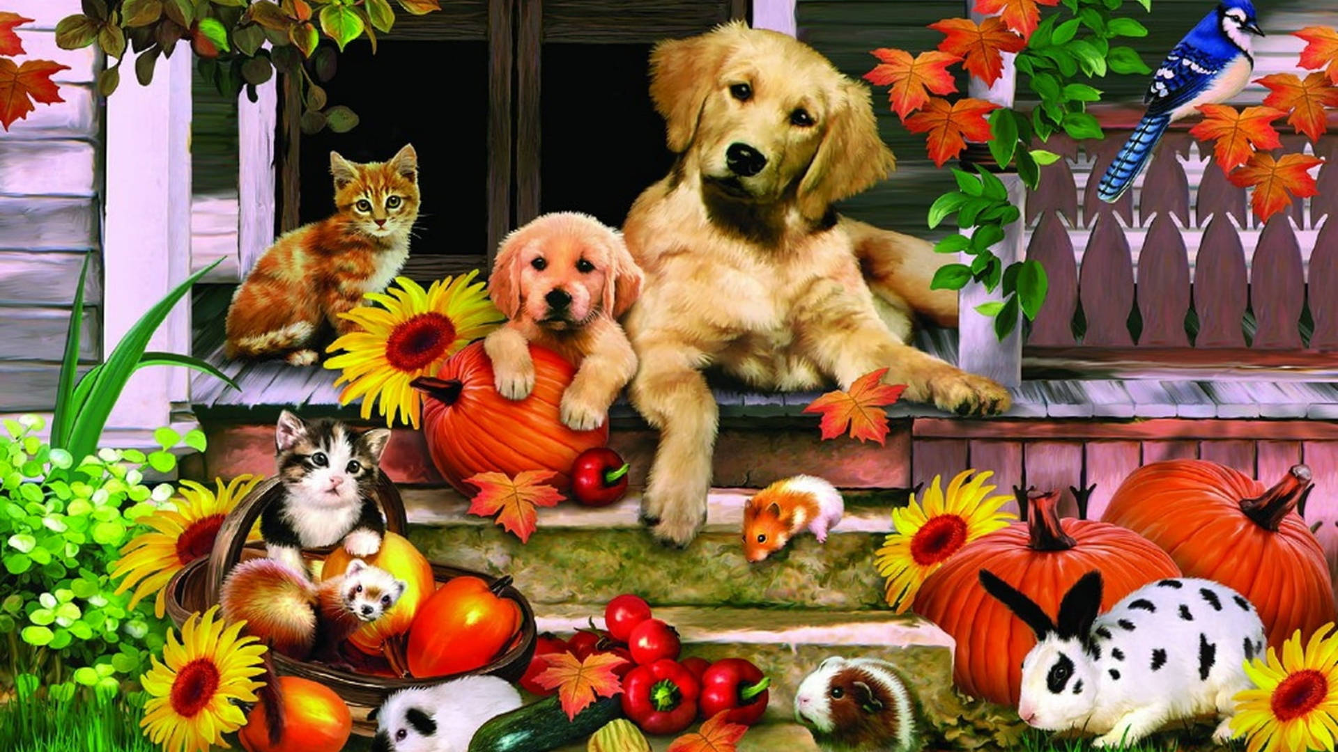 Cute Halloween Desktop 桌布 壁紙 — 一隻黃金獵犬幼犬和一隻小貓坐在門廊上，周圍有南瓜、向日葵和秋葉，附近還有一隻藍松鴉棲息。