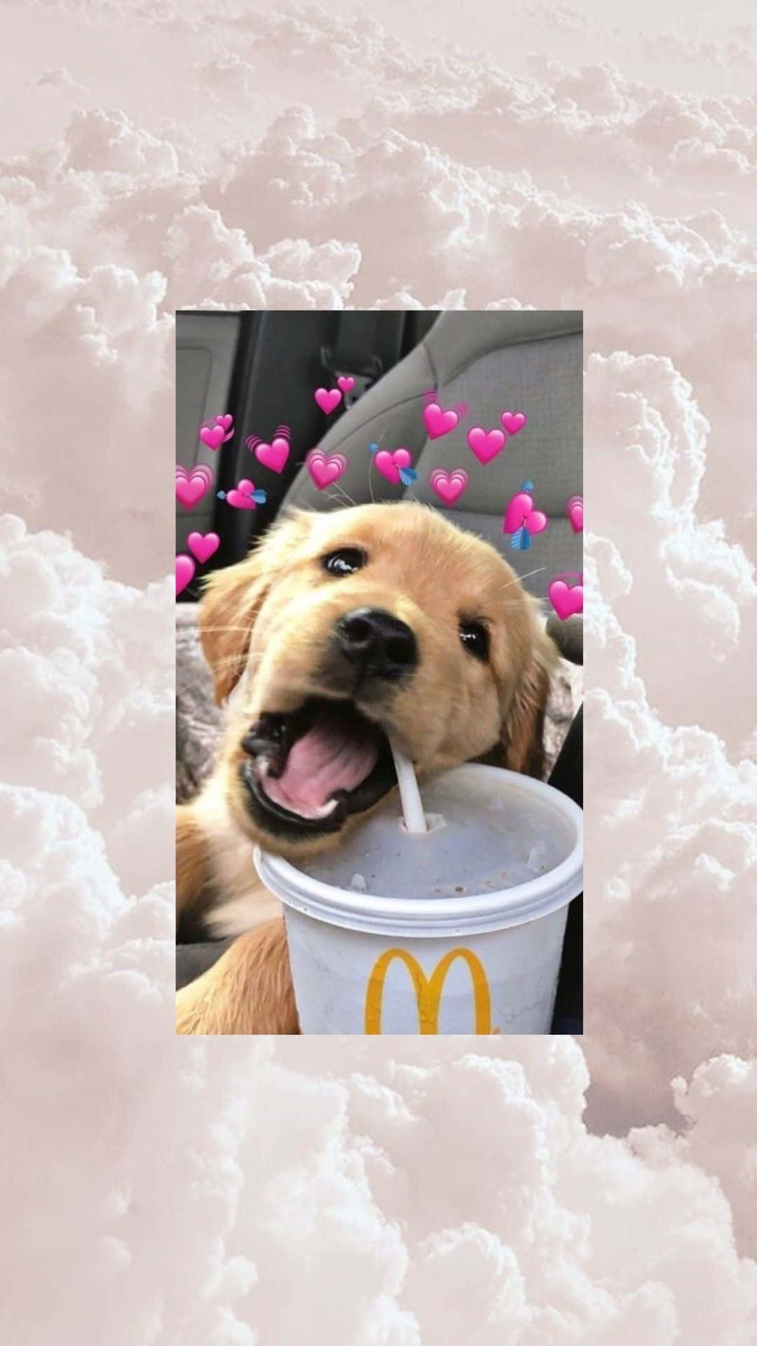 Dog iPhone 桌布 壁紙 — 一隻黃金獵犬幼犬愉快地從麥當勞飲料杯中啜飲，粉紅色心形表情符號在 fluffy 雲朵背景中漂浮。