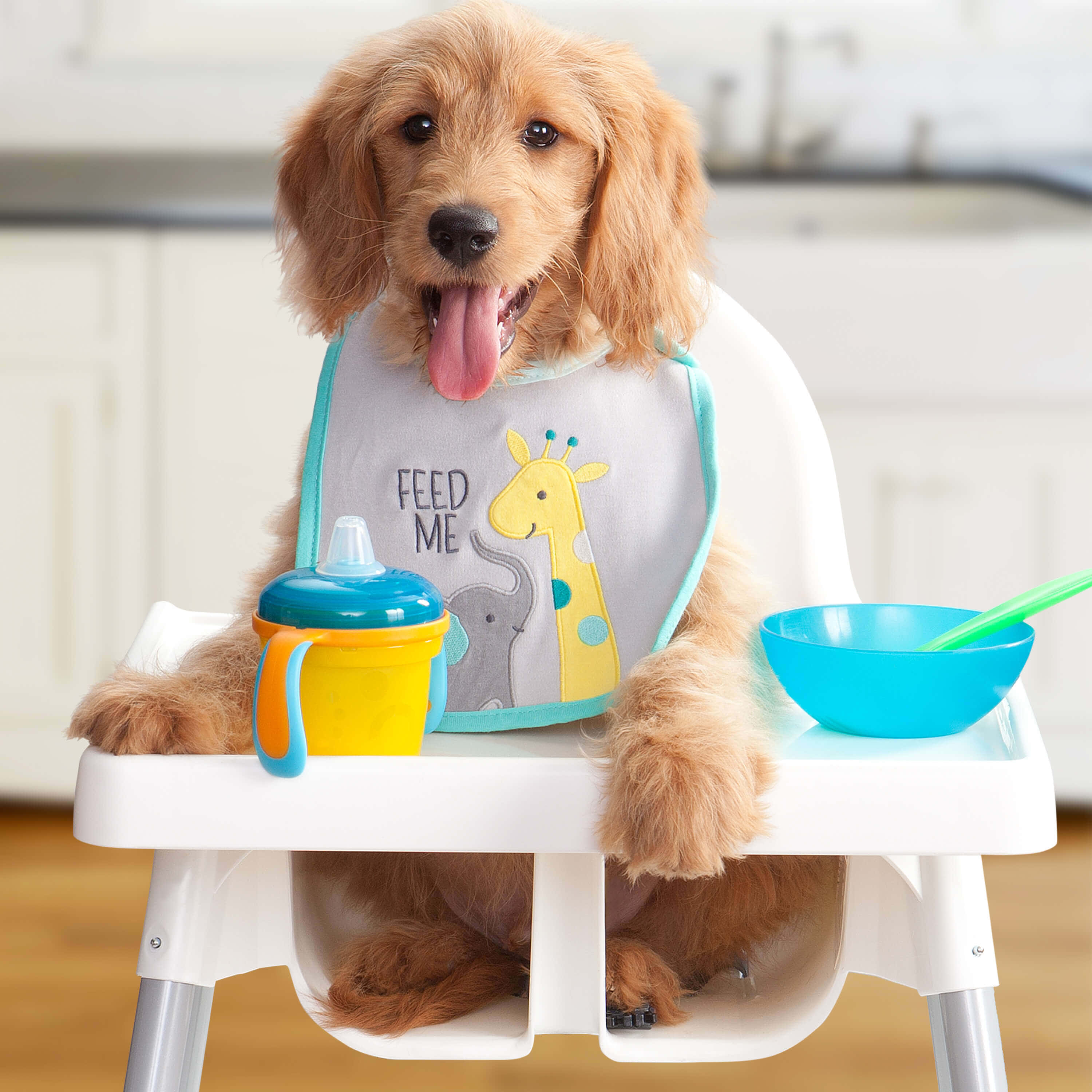 Puppy Dog 桌布 壁紙 — 一隻黃金獵犬幼犬穿著長頸鹿和大象圍兜，開心地坐在高腳椅上，旁邊有學習杯和碗。
