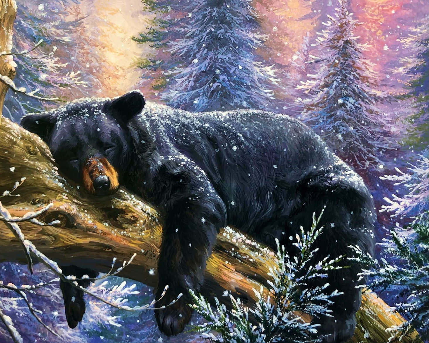 Hibernation 桌布 壁紙 — 一隻黑熊在冬日森林中，於灑滿雪花的木頭上安詳入睡，天空呈現紫橙色的暮色。