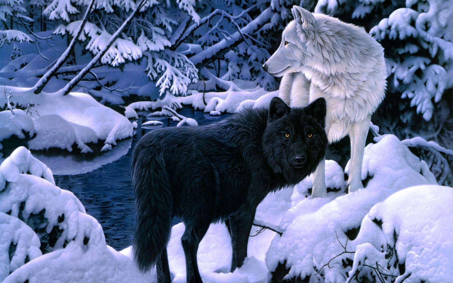 Illustration Art 桌布 壁紙 — 一隻黑狼和一隻白狼在暮色藍光下，警覺地站在雪林中的一條黑暗河流旁。