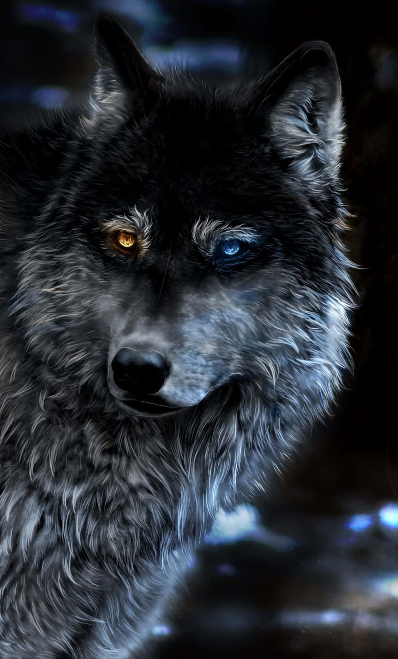 Wolf iPhone 桌布 壁紙 — 一隻黑狼的特寫，有一隻琥珀色和一隻藍色的眼睛，在黑暗模糊的背景前凝視著。