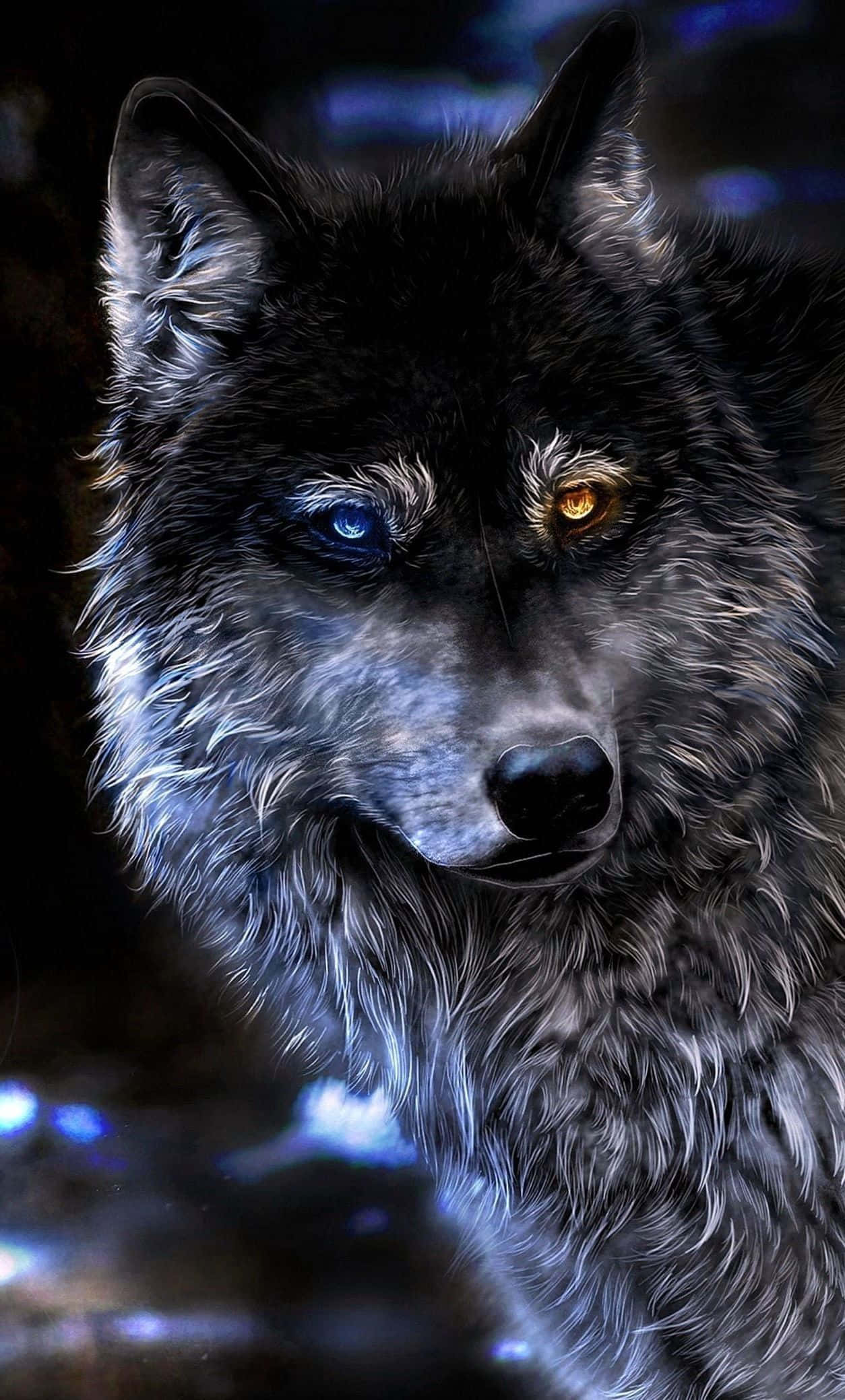 Dire Wolf 桌布 壁紙 — 一隻黑狼的特寫，有一隻藍色和一隻金色的眼睛，在深藍色模糊的背景前強烈地凝視。