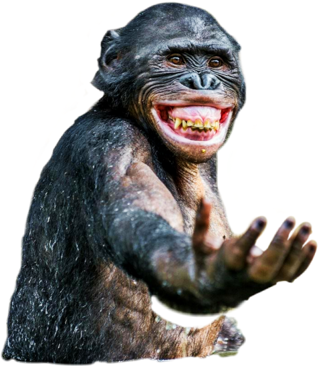 Ape 桌布 壁紙 — 一隻黑猩猩露出寬闊的牙齒笑容，在純黑色背景前伸出手。