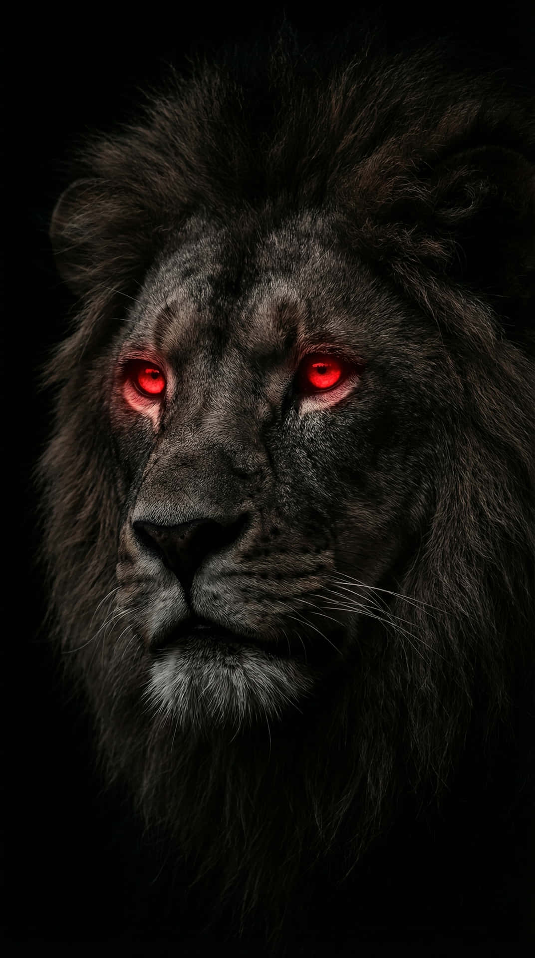 Glowing Red Eyes Lion King 4K Wallpaper 壁紙 — 一隻黑獅子，雙眼發出紅光，在漆黑的背景下強烈地凝視著。