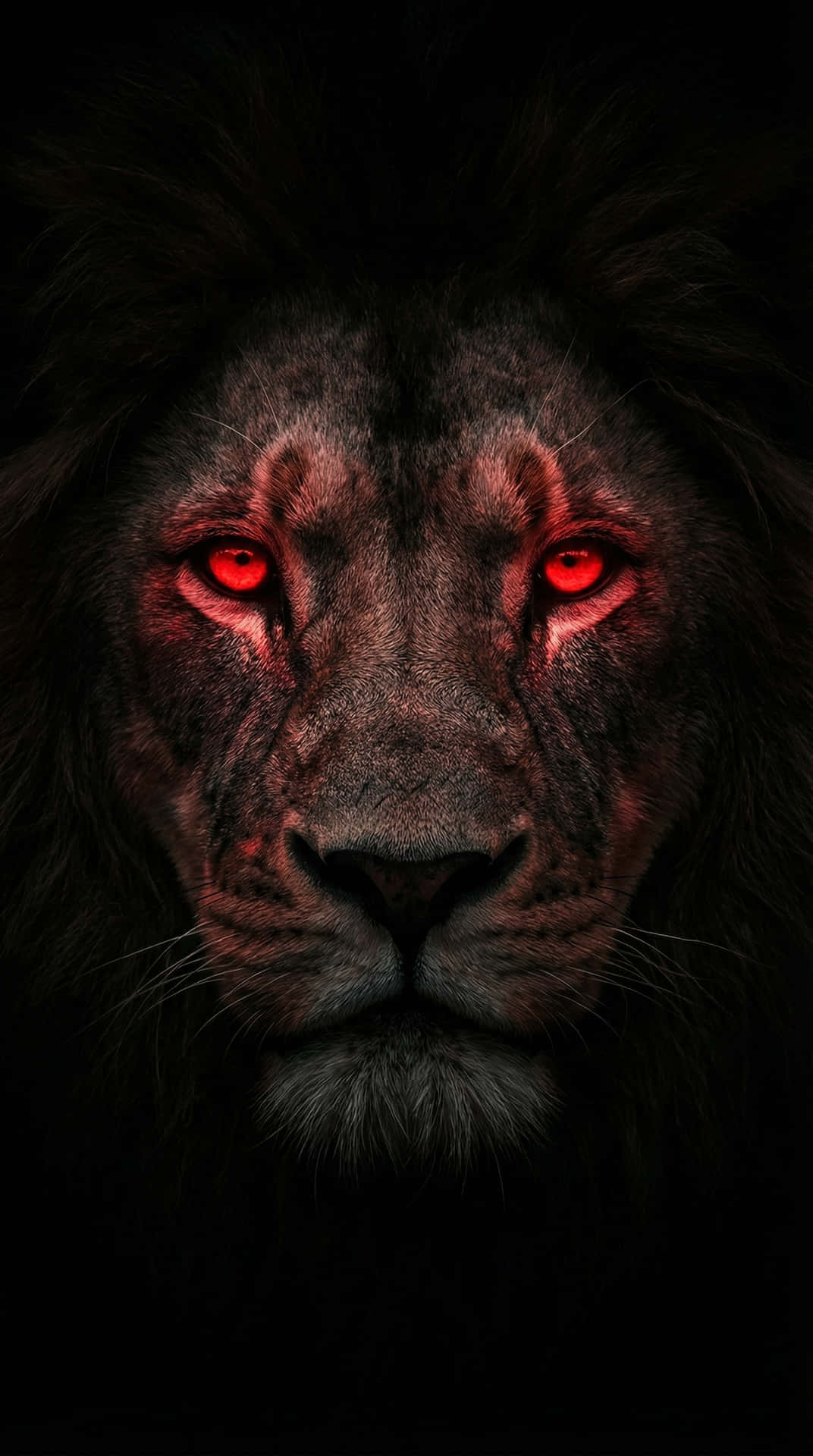 Glowing Red Eyes Lion King 4K Wallpaper 壁紙 — 一隻黑獅子特寫，擁有發光的紅色眼睛，在漆黑的背景下強烈凝視。