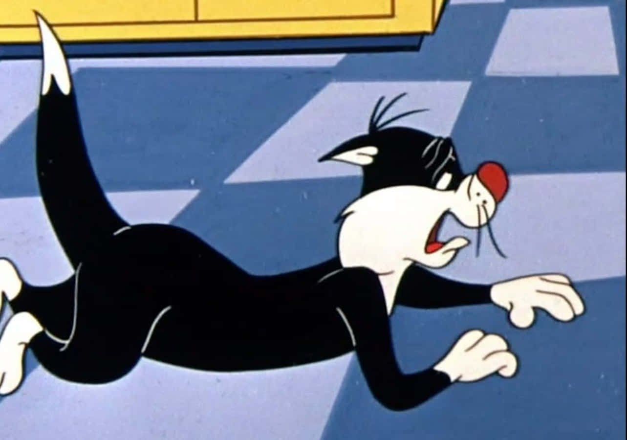 Sylvester The Cat 桌布 壁紙 — 一隻黑白卡通貓，紅鼻子，在藍白格子地板上驚慌失措地滑行。
