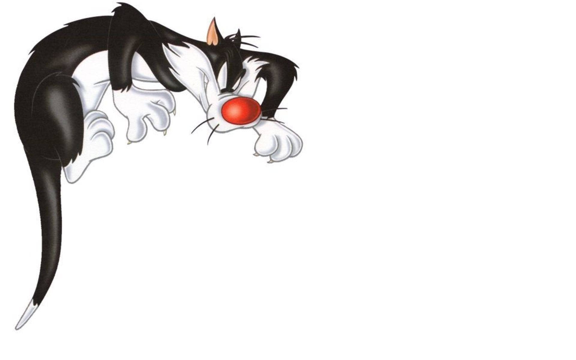 Sylvester 桌布 壁紙 — 一隻黑白卡通貓咪，紅色的鼻子，在純白背景上向前撲出。