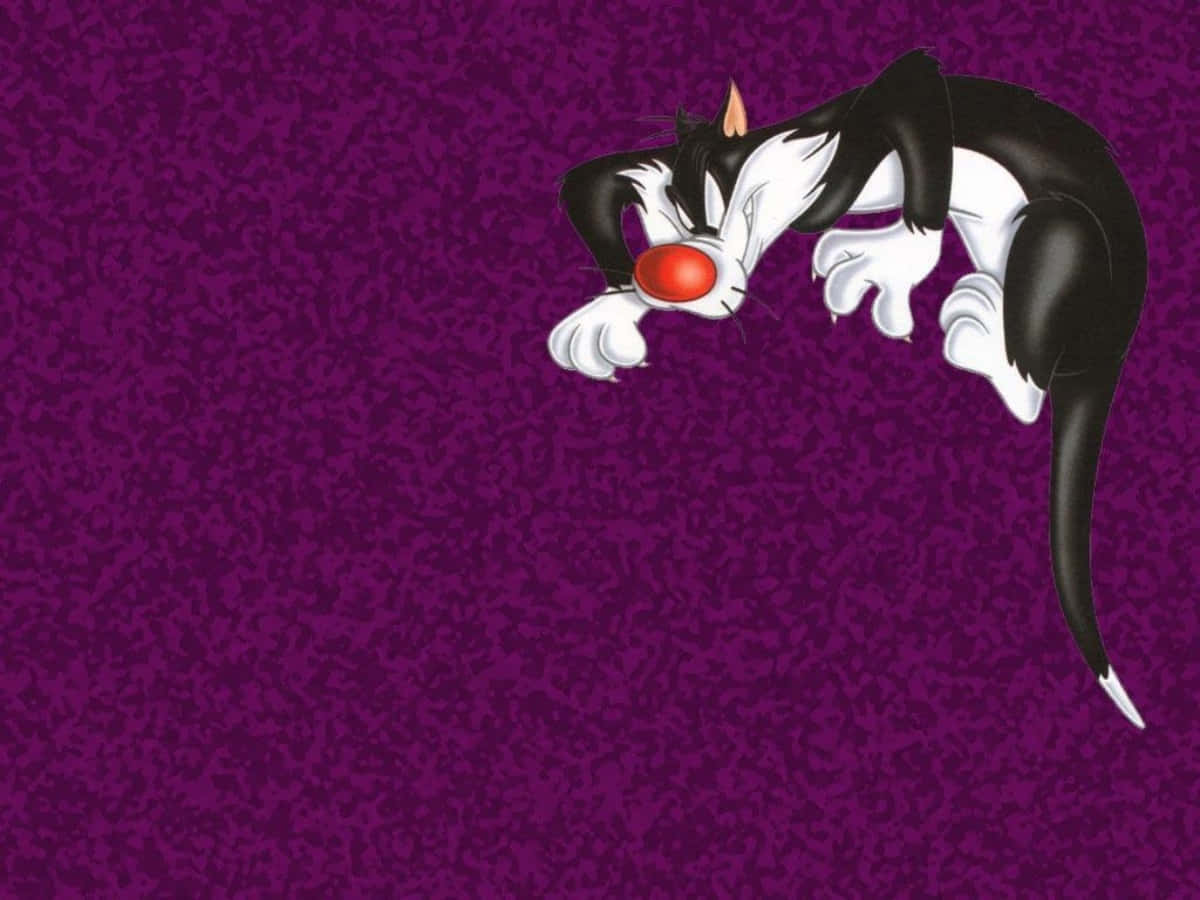 Sylvester The Cat 桌布 壁紙 — 一隻黑白毛色、紅鼻子的卡通貓咪，在帶有紋理的紫色背景前懶洋洋地伸懶腰。