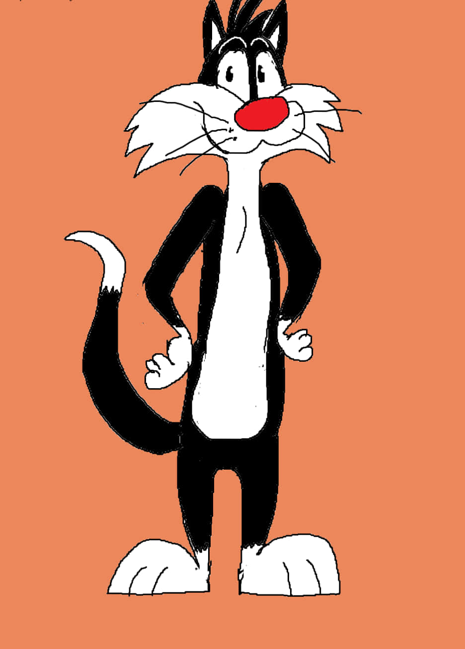 Sylvester The Cat 桌布 壁紙 — 一隻黑白毛色的卡通貓咪自信地站在純橙色背景前。