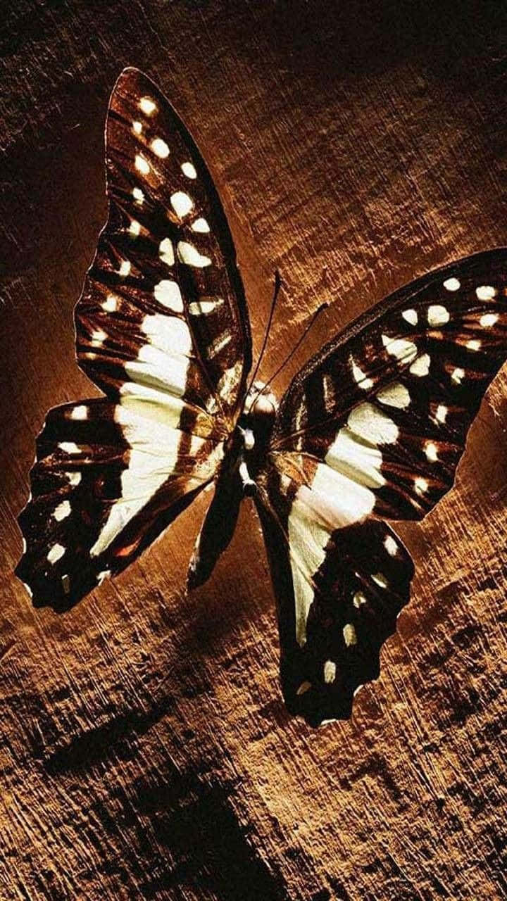 Butterflies 桌布 壁紙 — 一隻黑白相間、翅膀有斑點的蝴蝶停留在有紋理的棕色木質表面上。