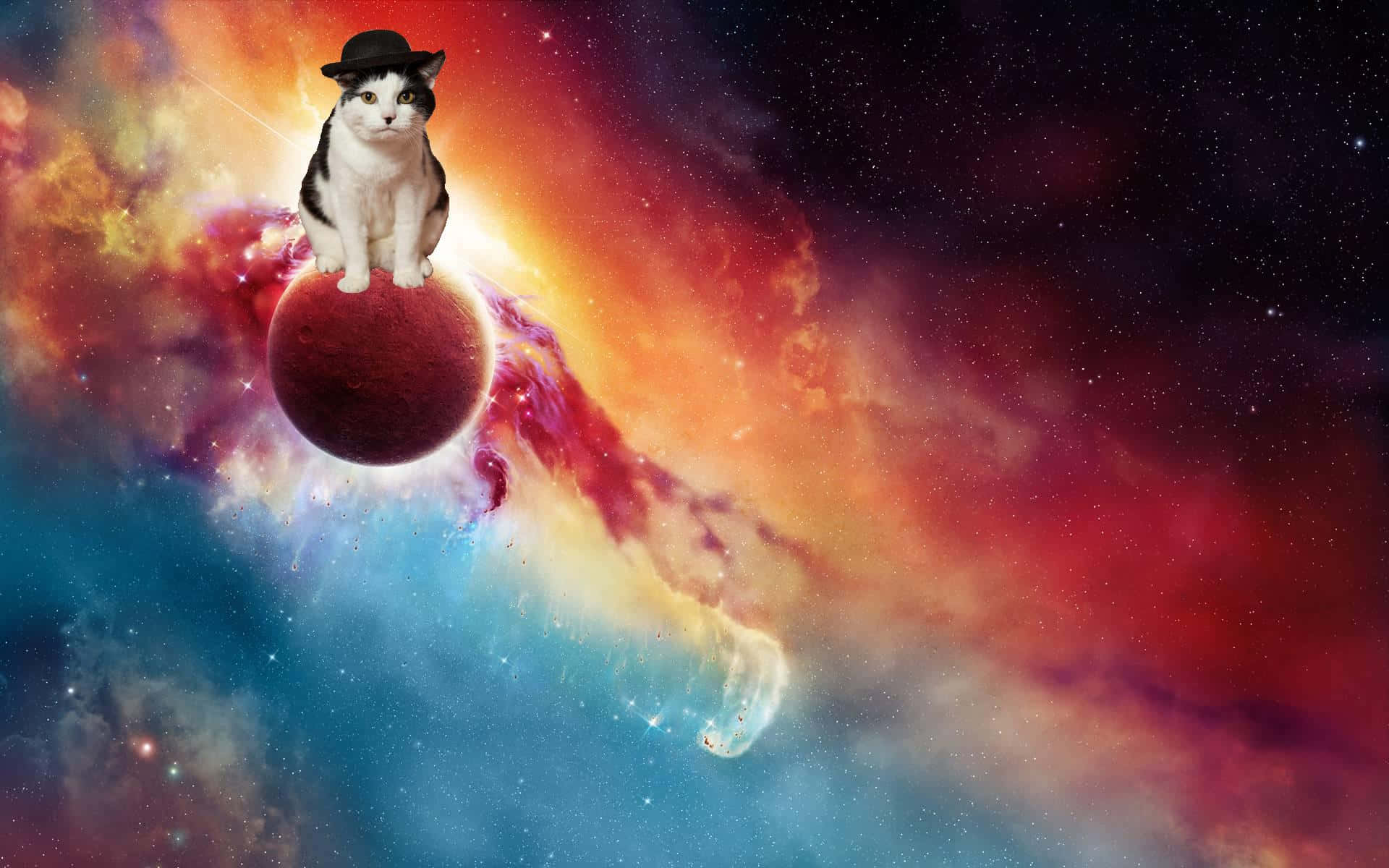 Cute Cat 桌布 壁紙 — 一隻黑白貓戴著圓頂禮帽，威嚴地坐在一顆紅色行星上，背景是充滿活力的宇宙星雲。