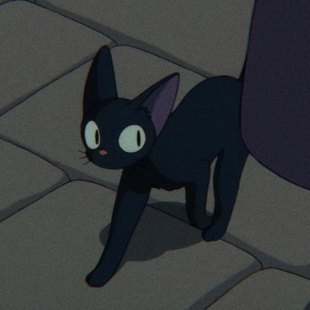 Jiji Cat 桌布 壁紙 — 一隻黑色動漫貓咪，有著白色大眼睛，在昏暗燈光下蹲在石磚上。