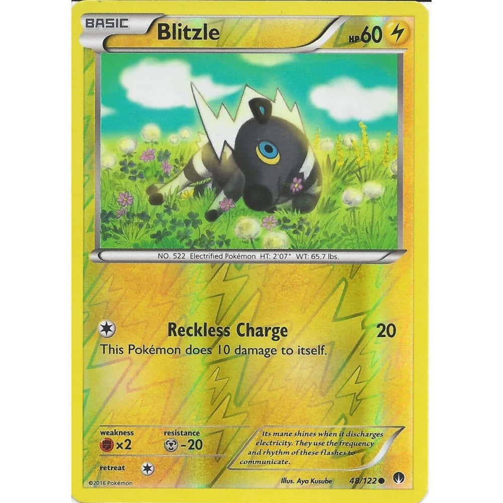 Pokemon Card 桌布 壁紙 — 一隻黑色電屬性寶可夢，有白色鬃毛和藍色眼睛，坐在晴朗天空下開滿花朵的草地上。
