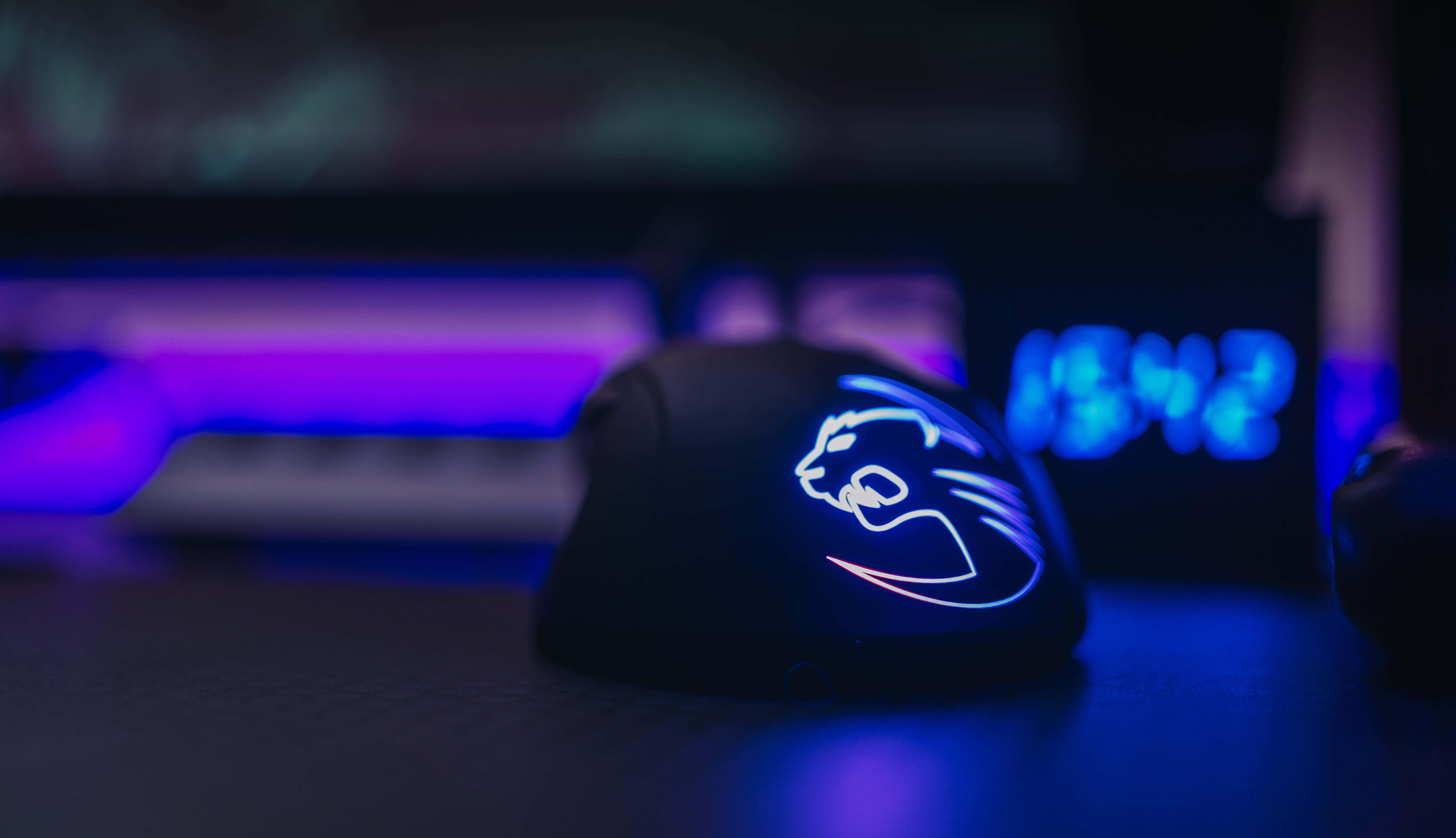 Gaming Mouse 桌布 壁紙 — 一隻黑色電競滑鼠帶有發光藍色和粉紅色貓標誌，放在桌上，周圍是充滿活力的紫色和藍色環境燈光。