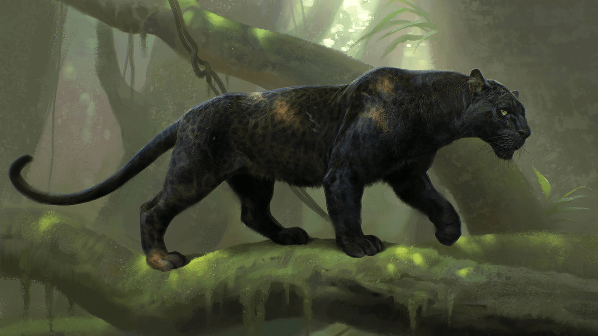 panther 桌布 壁紙 — 一隻黑豹眼睛發光，在斑駁的陽光下優雅地漫步在長滿苔蘚的叢林樹枝上。