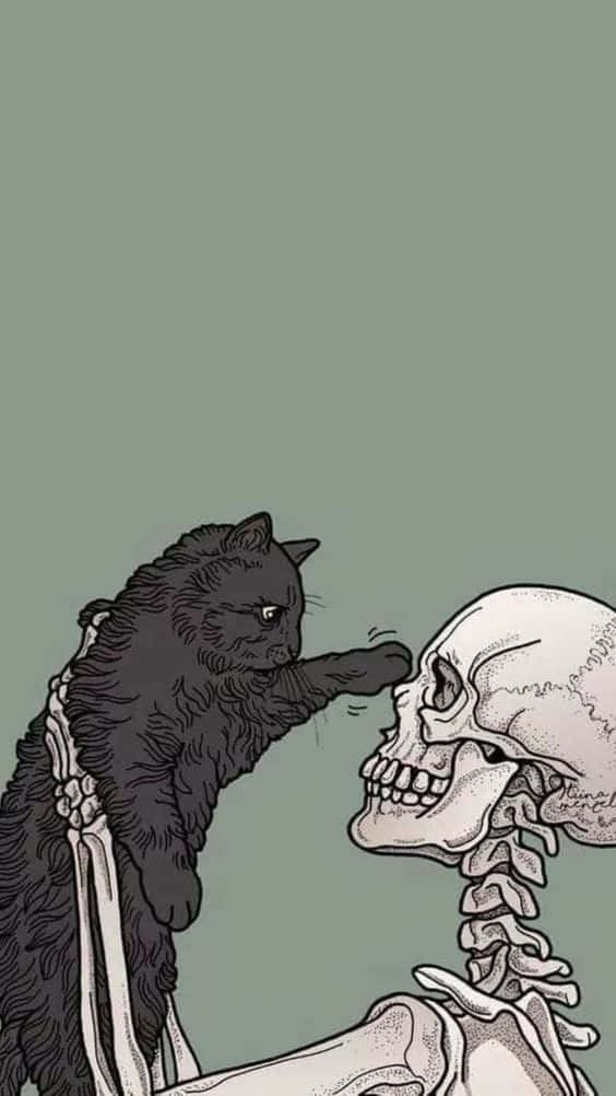 Black Cat Halloween 桌布 壁紙 — 一隻黑貓在柔和的綠色背景上輕輕拍打人類骷髏的臉頰。