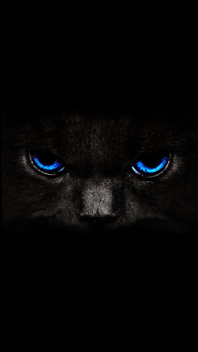 Black And Blue iPhone 桌布 壁紙 — 一隻黑貓強烈發光的藍色眼睛從完全黑暗中凝視，營造出令人難忘的神秘氛圍。