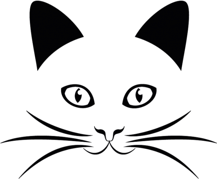Whiskers 桌布 壁紙 — 一隻黑貓發光的白色眼睛從完全黑暗中凝視，帶有尖銳的瞳孔和微弱的鬍鬚。