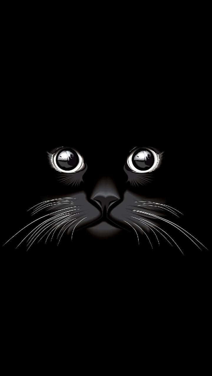 Cat Eyes 桌布 壁紙 — 一隻黑貓發光的眼睛和鬍鬚以強烈的專注力刺穿黑暗。