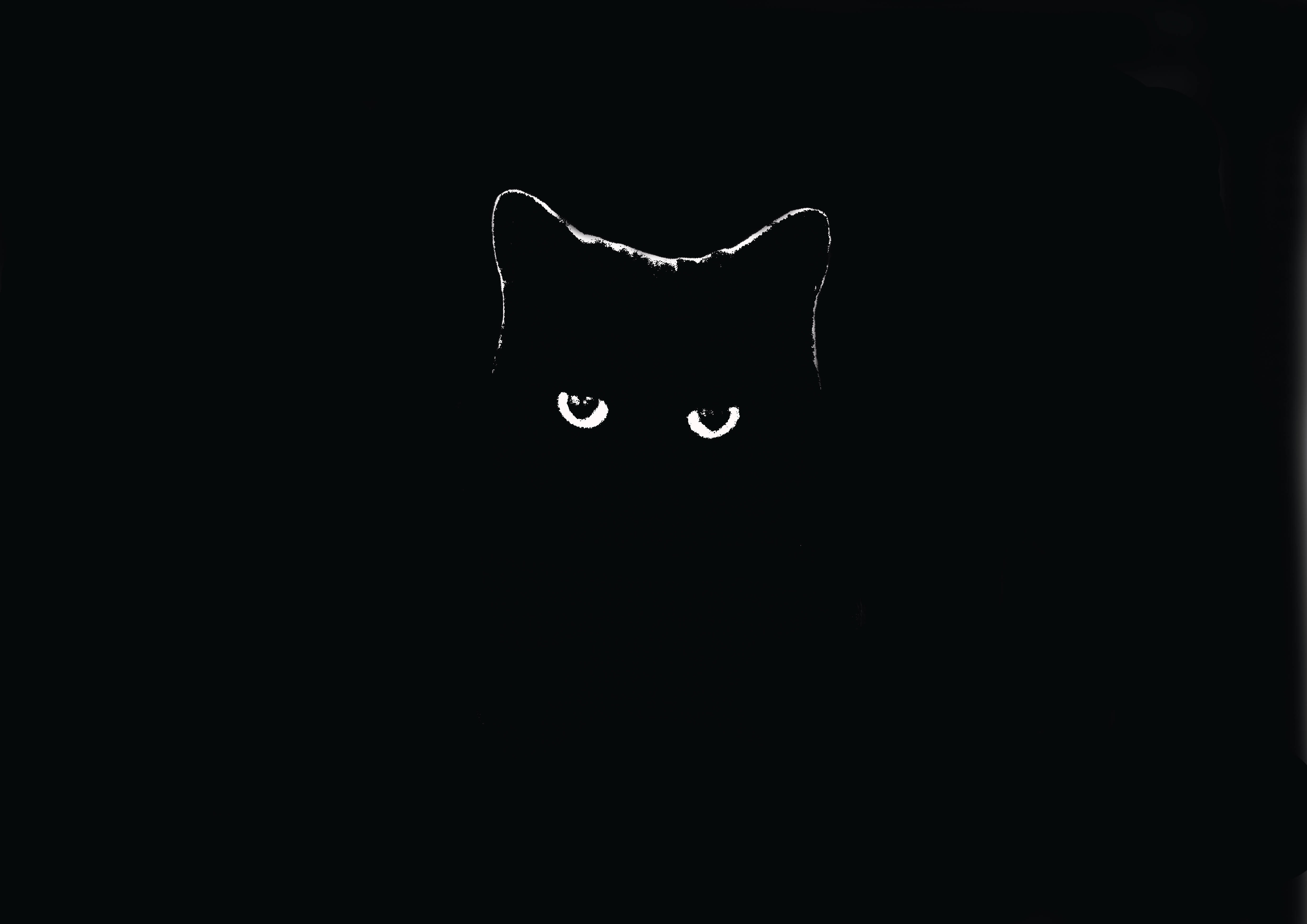 Dark 4K 桌布 壁紙 — 一隻黑貓發光的眼睛從完全的黑暗中窺視，營造出詭異且懸疑的氛圍。