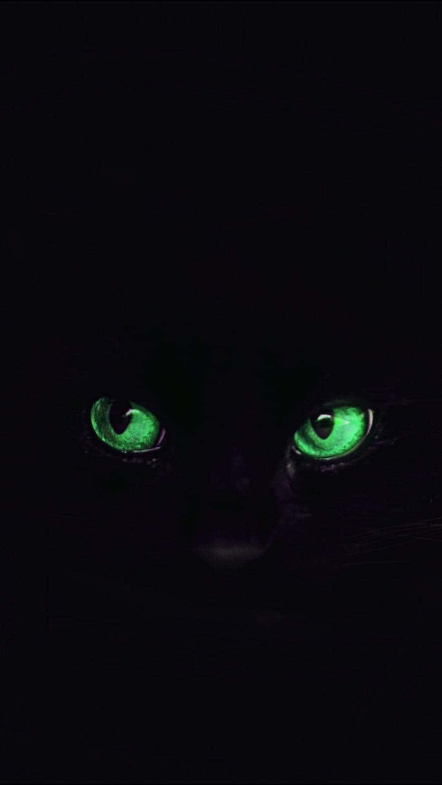 Cat Eyes 桌布 壁紙 — 一隻黑貓發光的綠色眼睛從完全黑暗中強烈凝視，營造出令人不安且神秘的氛圍。