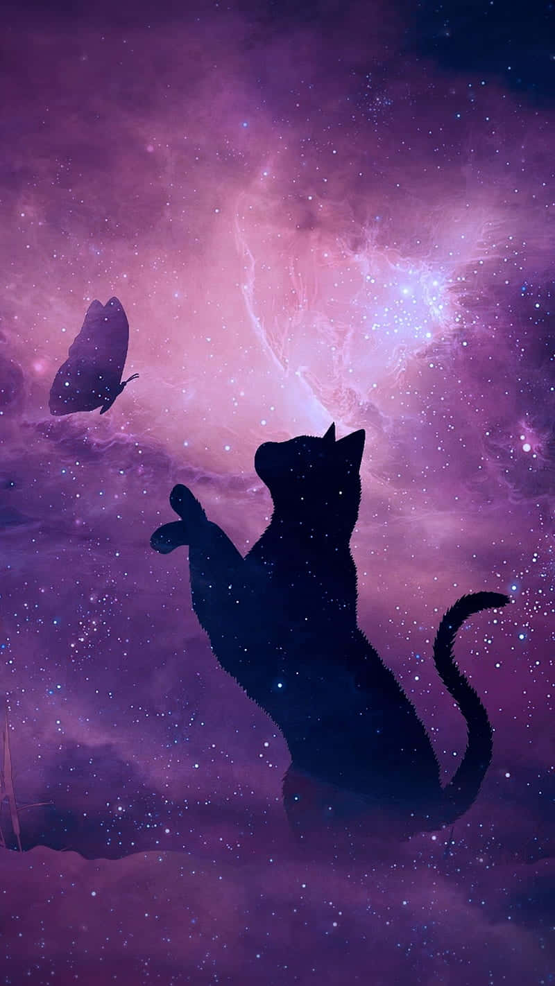 桌布 壁紙 — 一隻黑貓的剪影仰望發光的紫色星雲，一隻蝴蝶在繁星點點的宇宙雲層中飄蕩。