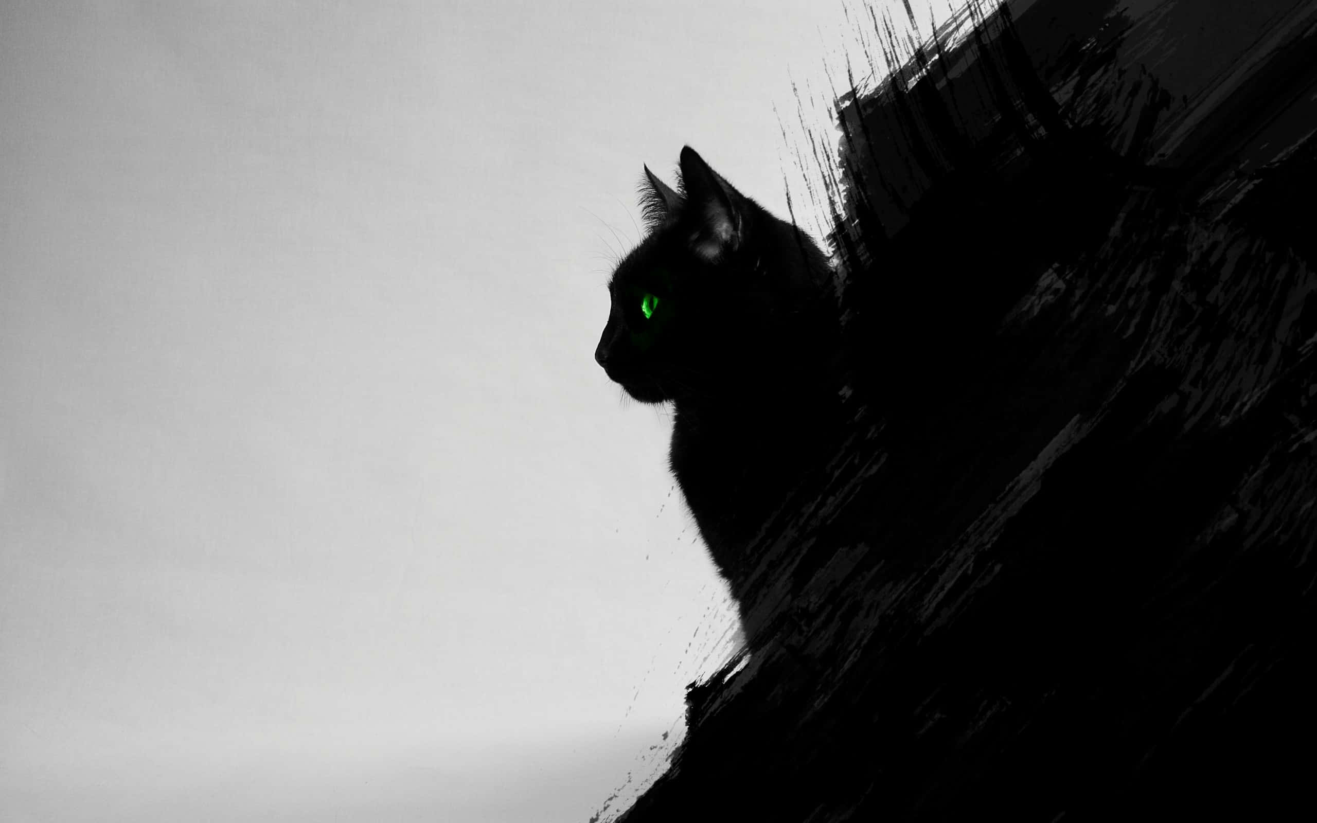 Eyes 桌布 壁紙 — 一隻黑貓的剪影棲息在紋理窗台上，綠色眼睛發光，背景是柔和的灰色天空。