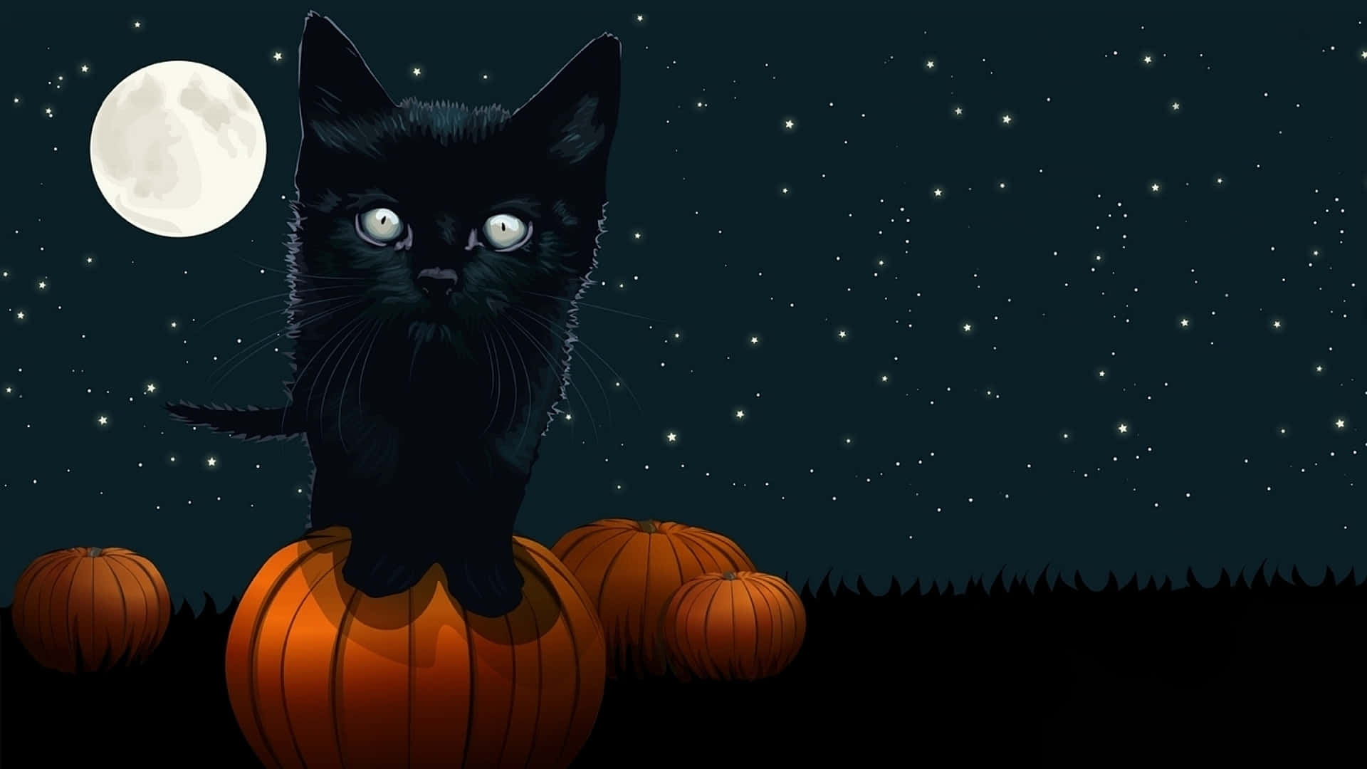 Halloween Zoom 桌布 壁紙 — 一隻黑貓眼睛發光，棲息在滿月和星空下的南瓜上。