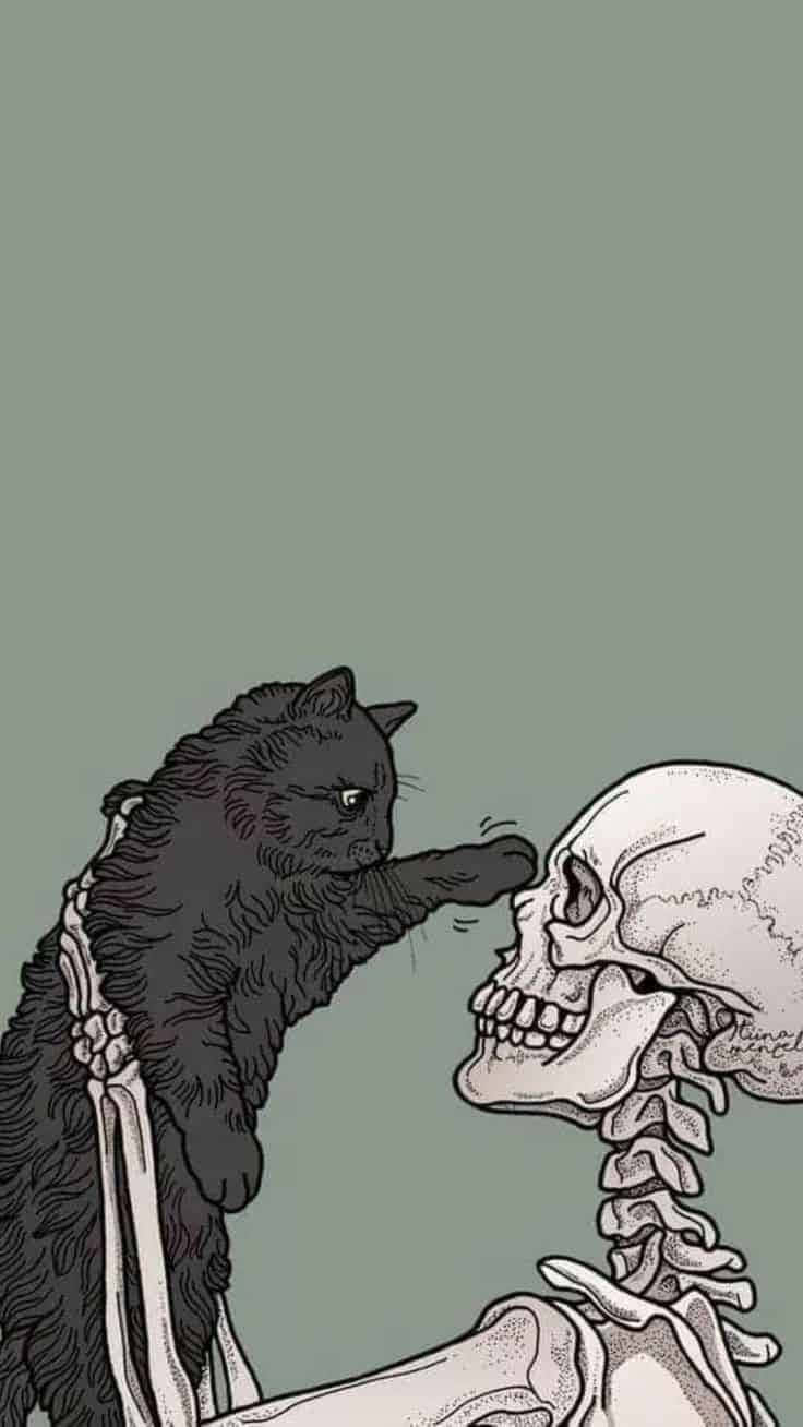 骷髏動圖 桌布 壁紙 — 一隻黑貓輕輕拍打一個帶有可見脊椎的人類頭骨，背景為柔和的綠色。
