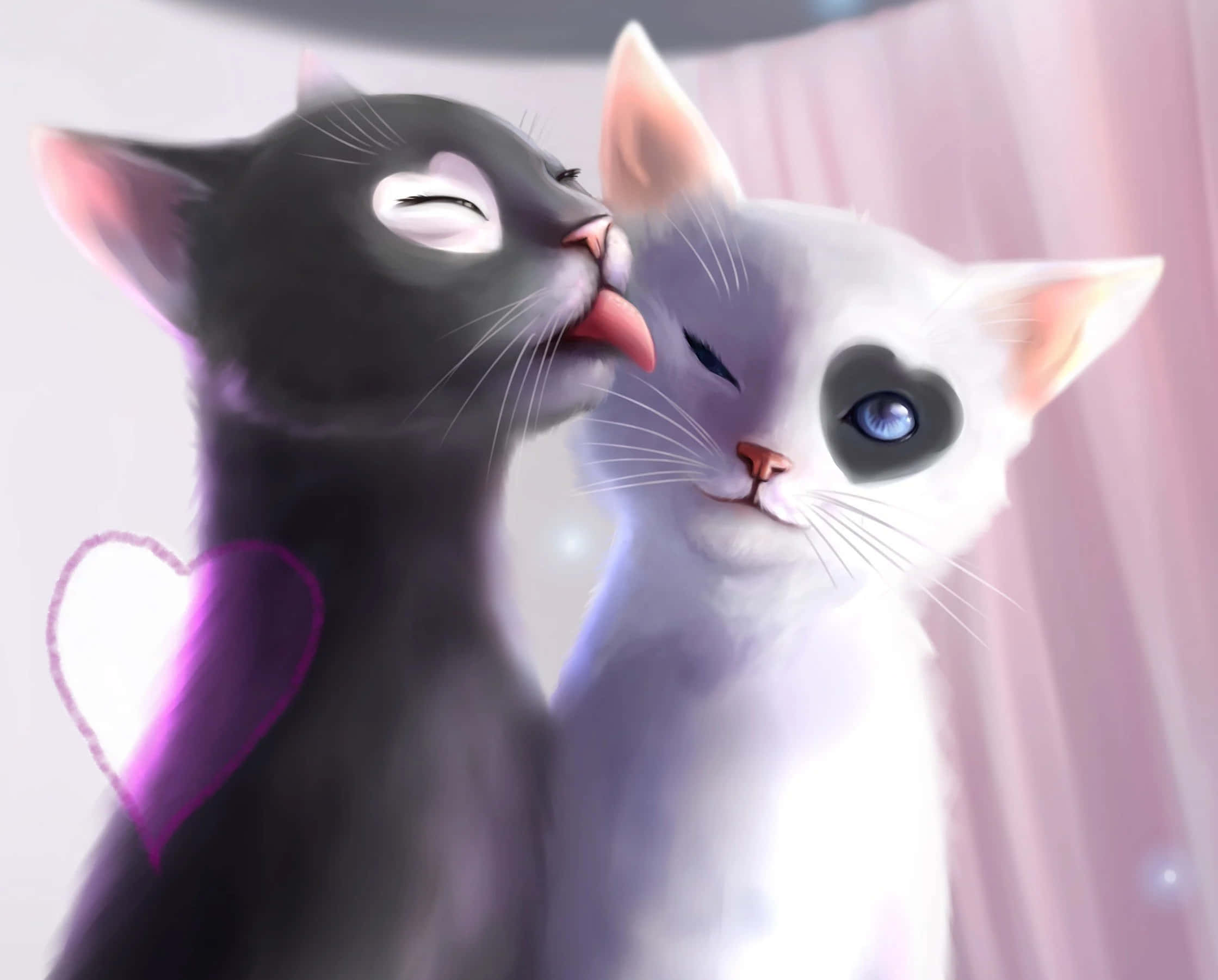 Cute Cat 桌布 壁紙 — 一隻黑貓輕輕舔著一隻有愛心形狀眼睛的白貓的臉頰，兩隻貓在柔軟的粉紅色窗簾前顯得十分親暱。