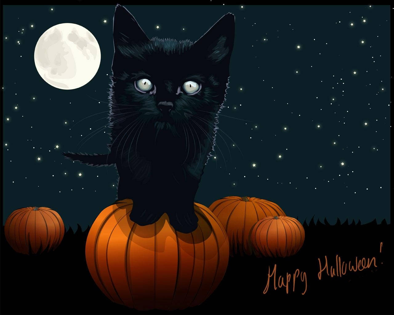 Halloween iPad 桌布 壁紙 — 一隻黑貓閃爍著發光的眼睛，棲息在滿月下的南瓜上，星空背景，下方寫著「Happy Halloween!」。