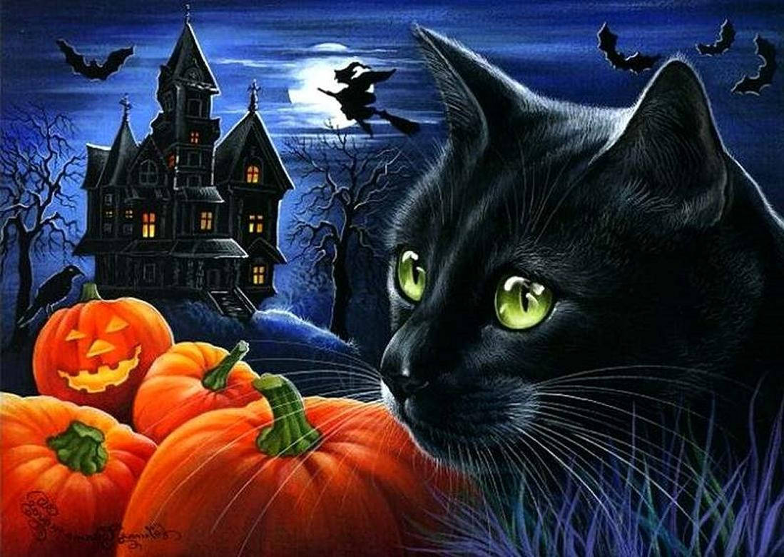 Dark Halloween 桌布 壁紙 — 一隻黑貓閃爍著綠色眼睛，在月光下的鬼屋和飛舞的蝙蝠中，從橙色南瓜之間凝視。