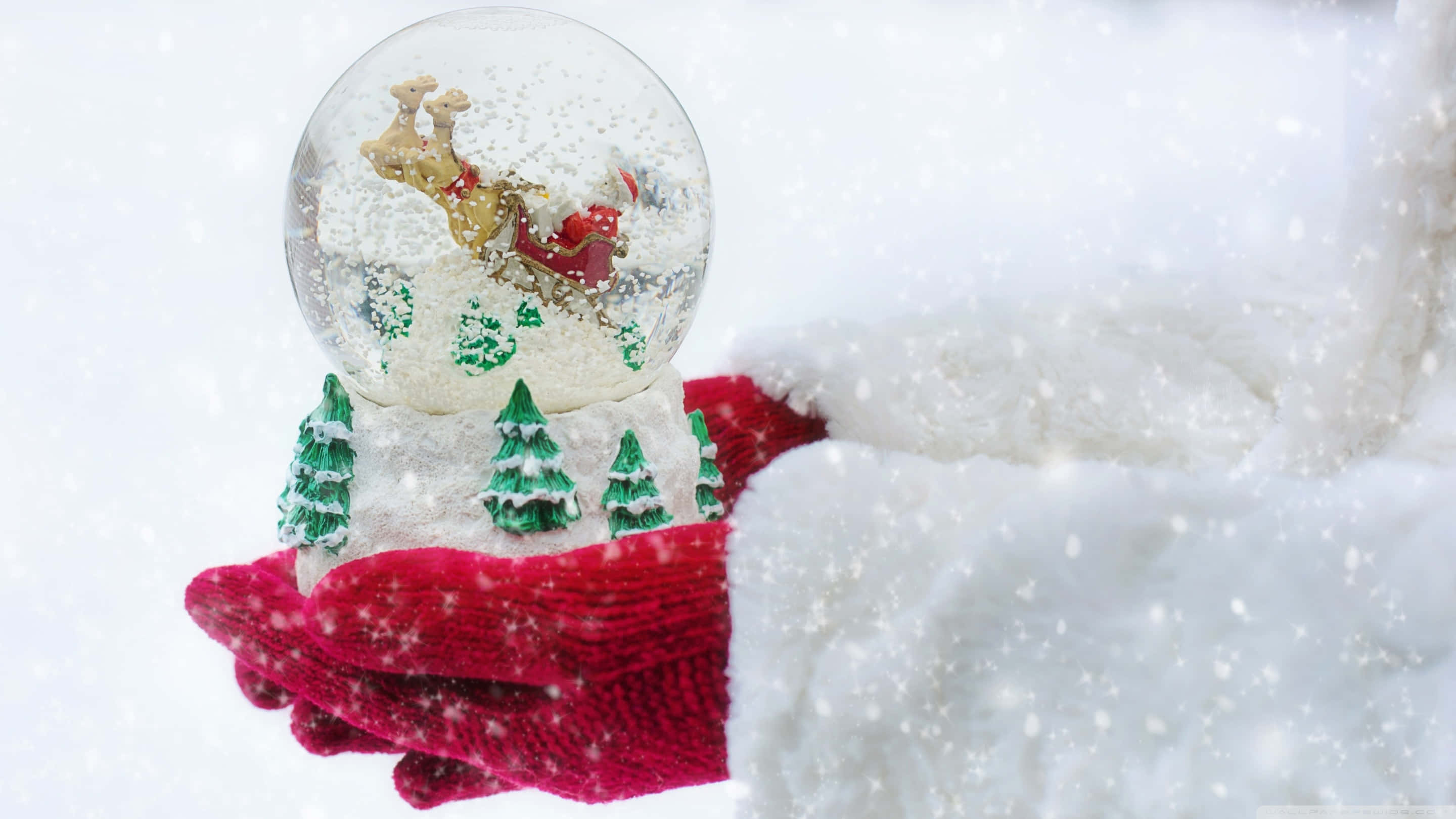 Christmas Snow 桌布 壁紙 — 一雙戴著紅色手套的手捧著一個雪球，裡面顯示聖誕老人在雪樹上滑雪橇，雪花在周圍飄落。