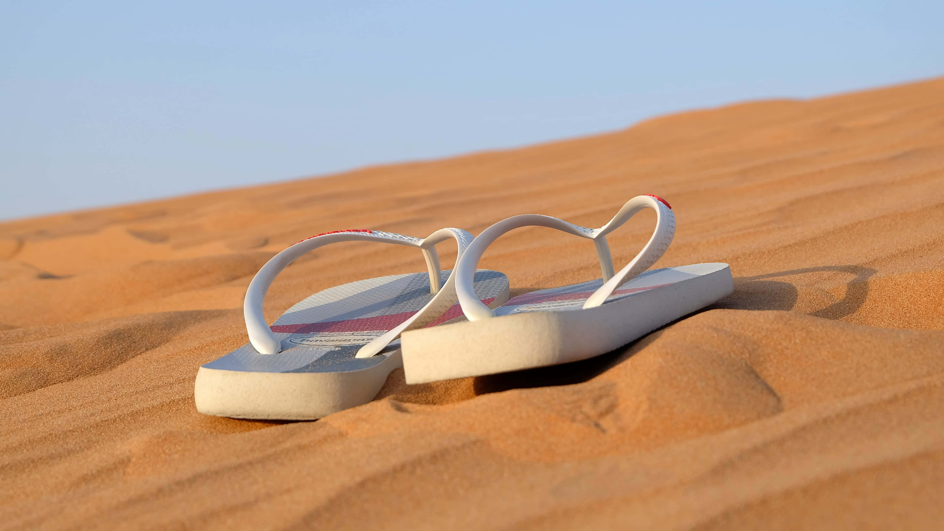 Beach Sandals 桌布 壁紙 — 一雙白色夾腳拖放在金色沙漠沙地上，上方是清澈的藍天。