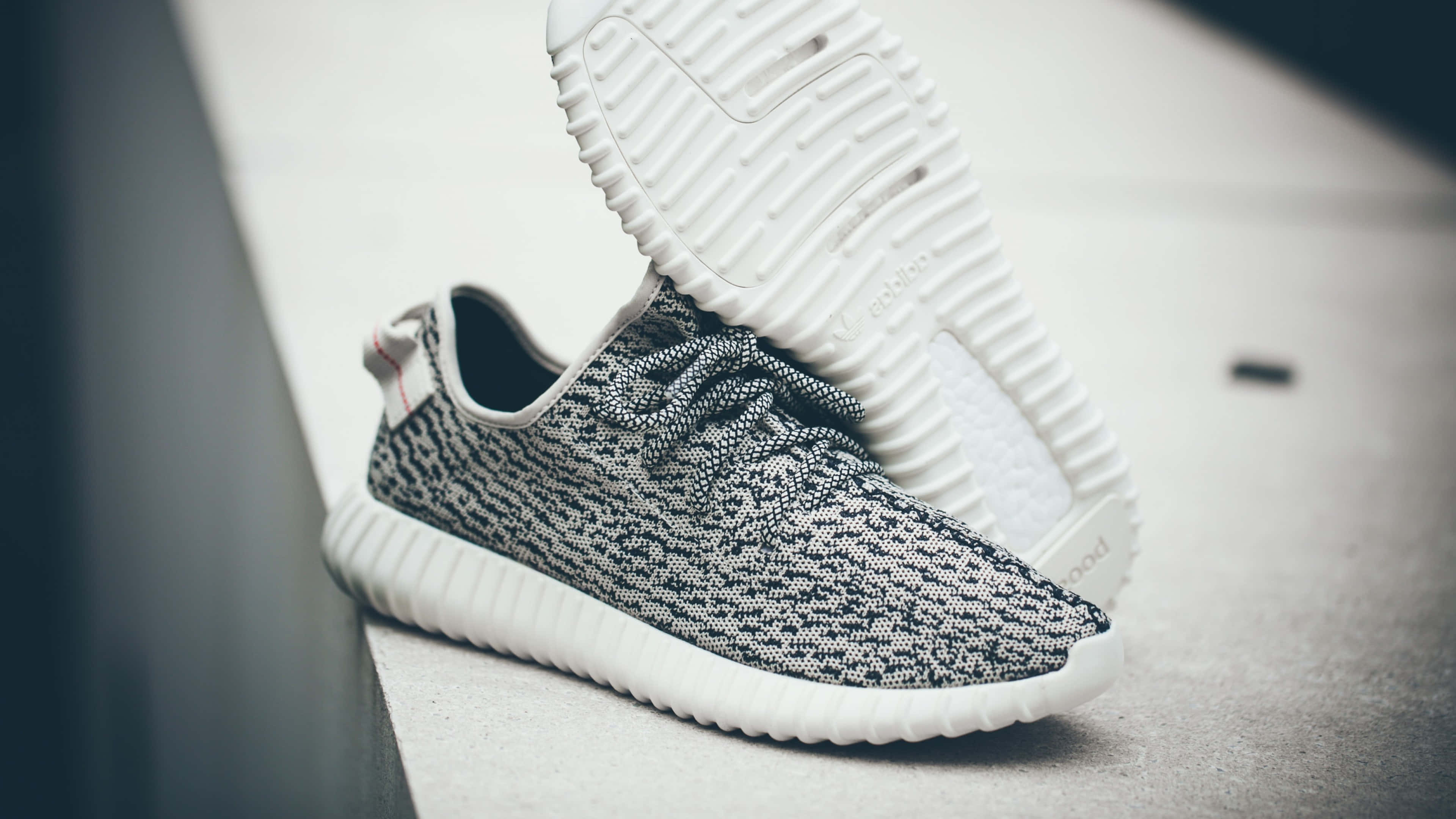 Footwear Design 桌布 壁紙 — 一雙黑白針織運動鞋，搭配厚白色鞋底，在柔和焦點中靠著混凝土邊緣。