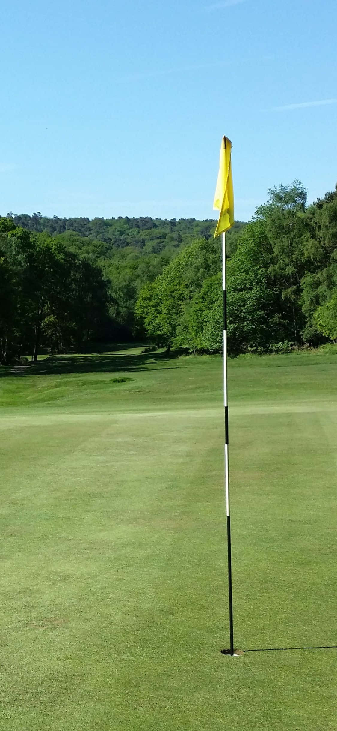 iPhone X Golf Course 桌布 壁紙 — 一面亮黃色的高爾夫旗幟高高矗立在純淨的綠色球道上，背景是晴朗的藍天和茂密的樹木。