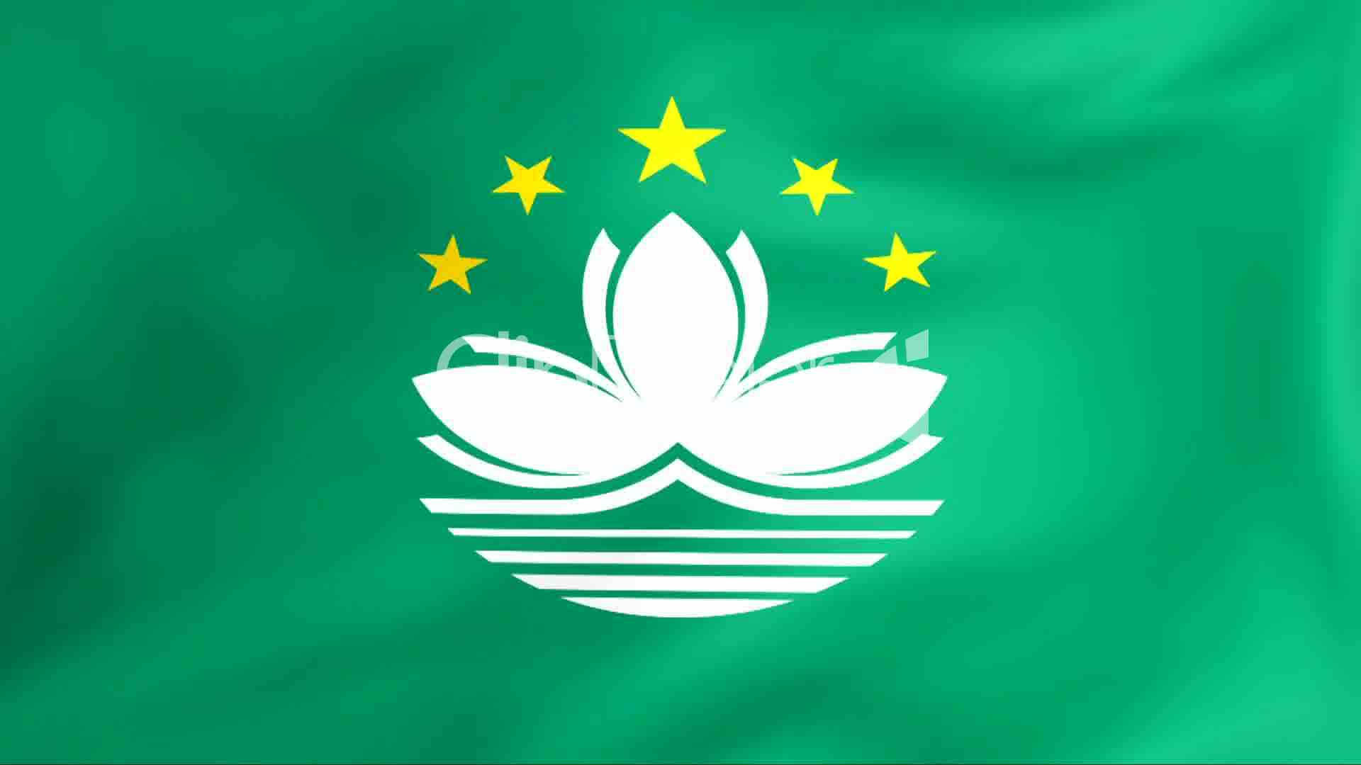 Flag 桌布 壁紙 — 一面充滿活力的綠色旗幟，上面有白色蓮花和五顆黃色星星，在風中動態飄揚。