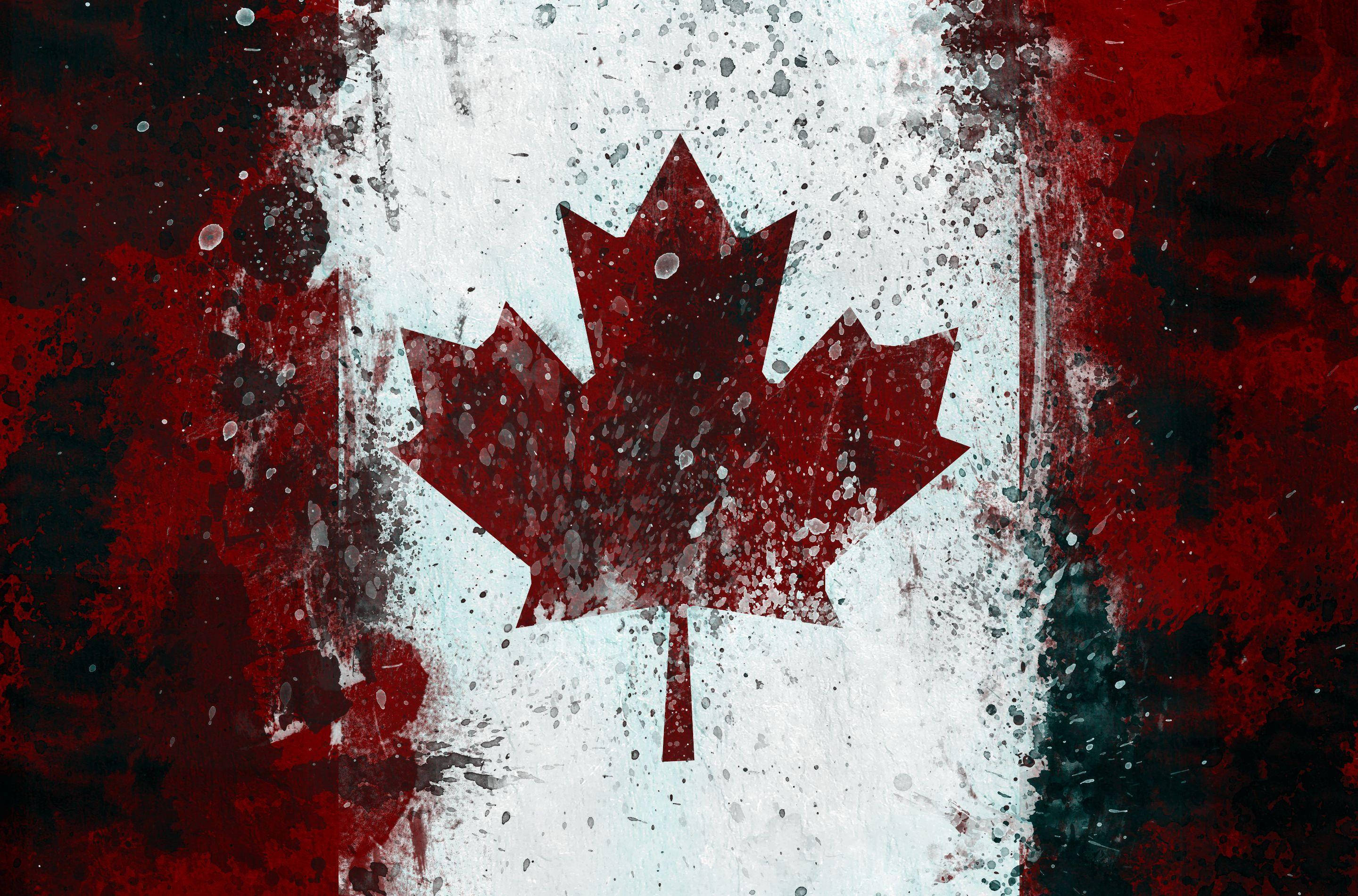 Canada Flag 桌布 壁紙 — 一面大膽的加拿大楓葉旗，以粗糙的紅色和白色潑漆及紋理 grunge 效果呈現。